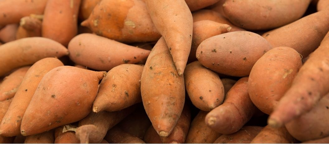 sweet potatoes